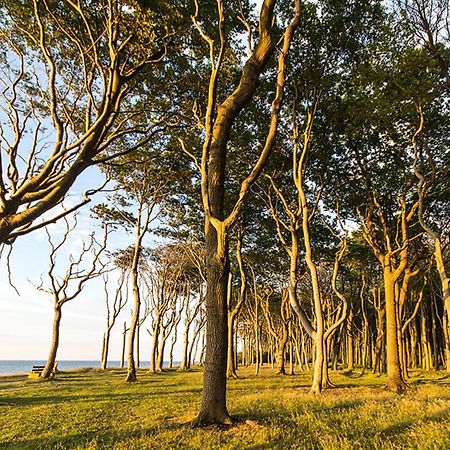 Ostseeloggia นีนฮาเกิน ภายนอก รูปภาพ